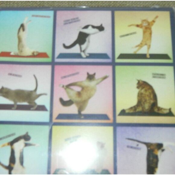 Cat Yoga Fitness Flexibility 2021 Wall Calendar TF Publishing 12 x 12. WALL ART - Picture 7 of 7